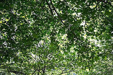 尼尔制作人难抵《夏娃计划》诱惑 已确定购买