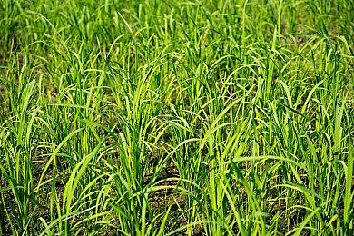 昔日iOS热门游戏《无尽之剑》已移植至PC 免费玩